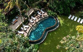 The Mesare Jungle Resort